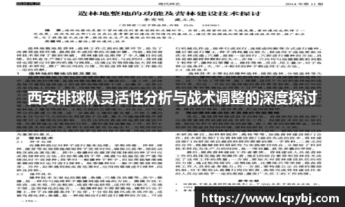 西安排球队灵活性分析与战术调整的深度探讨
